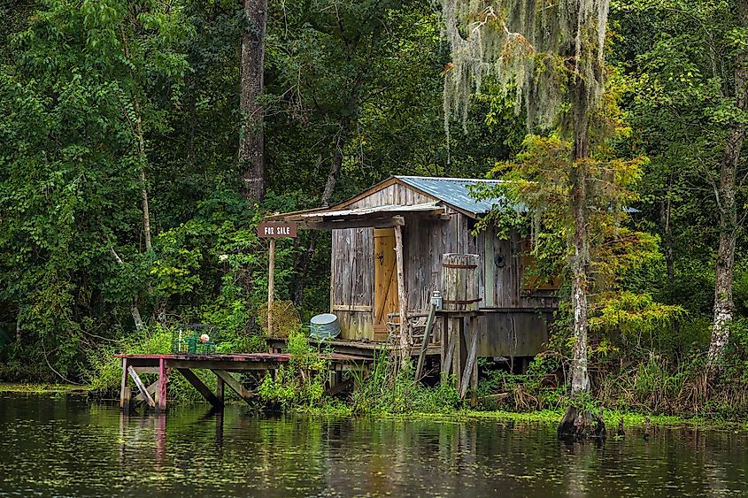 House, swamp, New Orleans, Louisiana
