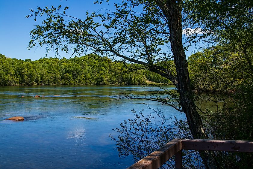 The Savannah River on a sunny day.