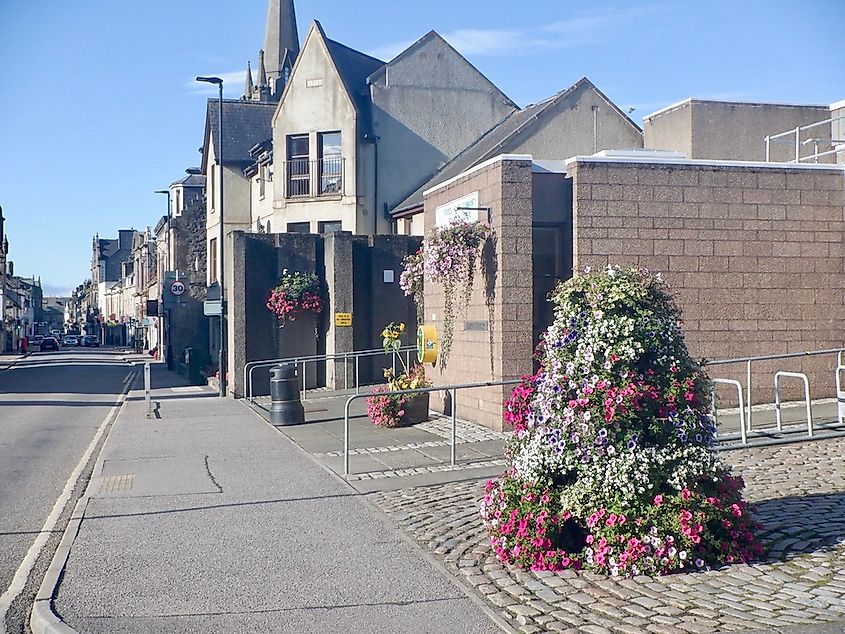 Floral display, Forres. Credit: Floral display, Forres by Richard Webb, CC BY-SA 2.0 <https://creativecommons.org/licenses/by-sa/2.0>, via Wikimedia Commons
