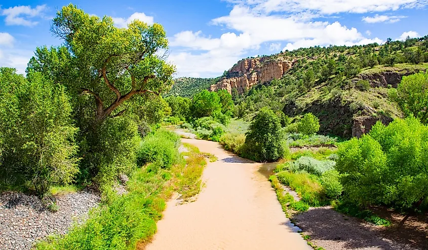 Gila River in Gila National Forest near Silver City, New Mexico.