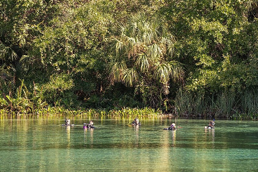 Ocala National Forest