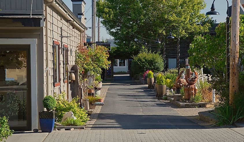 Lush greenery along a street in Langley Washington