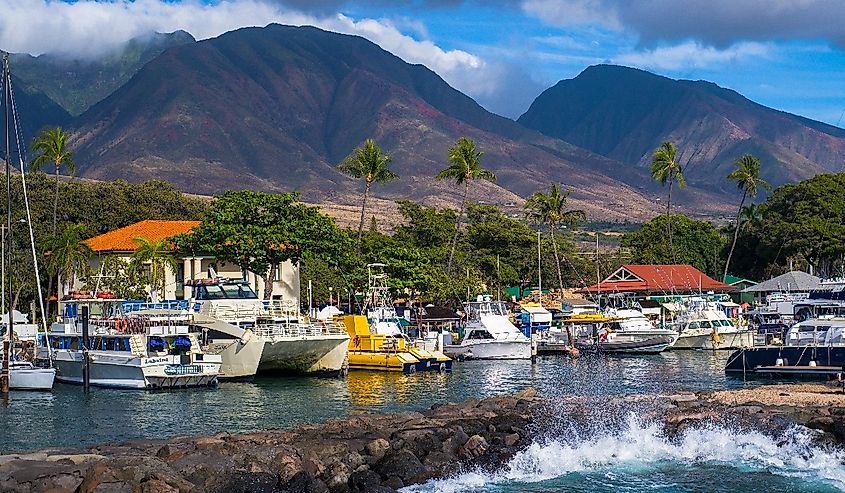 View of the Lahaina Marina and the West Maui Mountains