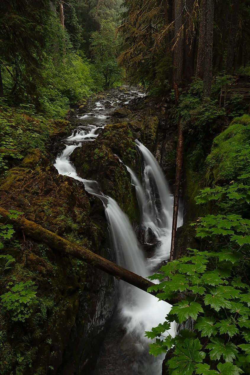 Sol Duc Falls, which sits just east of Forks, Washington. Photo by Brendan Cane
