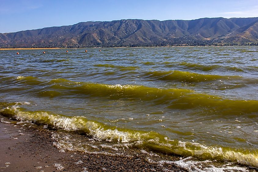 Algal bloom at Lake Elsinore