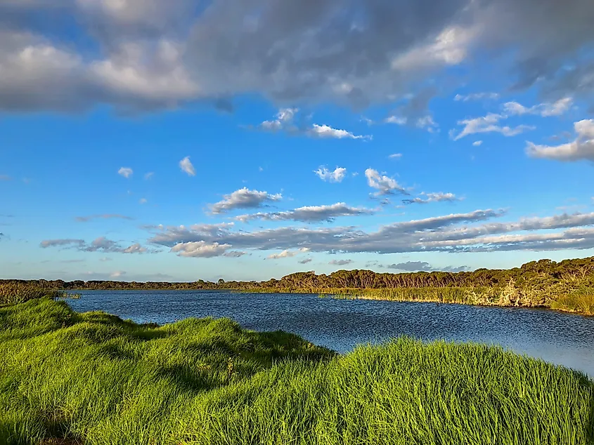 Evening view of Lake Seppings in Albany during summer in Southern tip of Western Australia. 