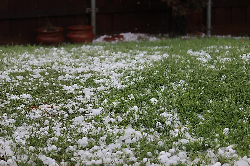 Lawn covered in hailstones after a hailstorm in North Texas, Hail covers a lawn in Plano, Texas