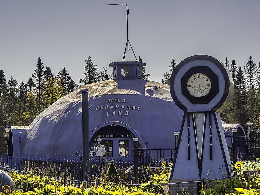The dome of the Wild Blueberry Land in Columbia Falls, Maine.