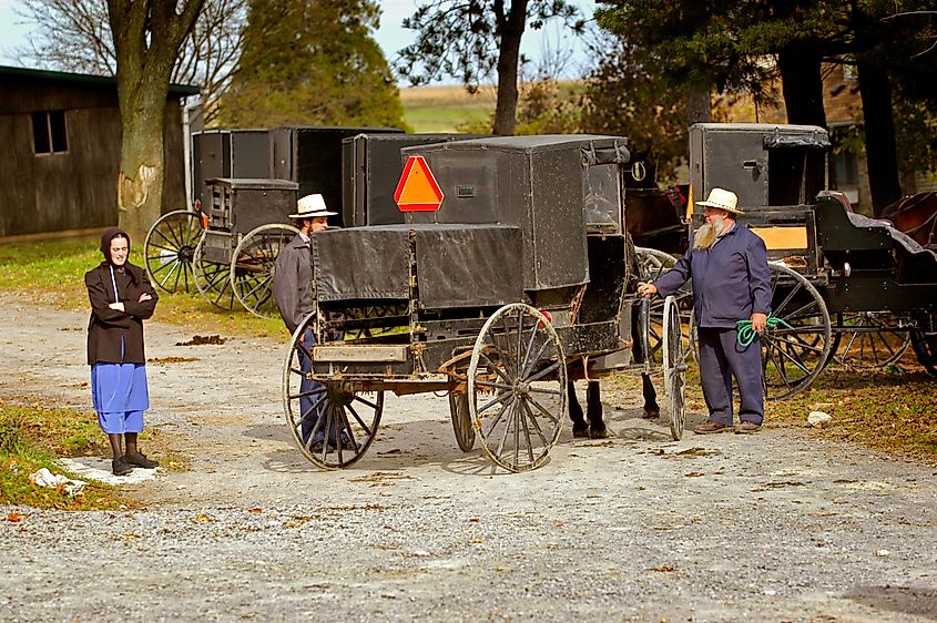 Amish buggies in Millersburg, Ohio