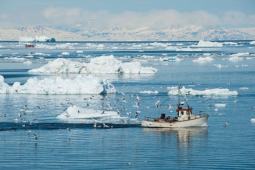 Sea ice in the Arctic Ocean.
