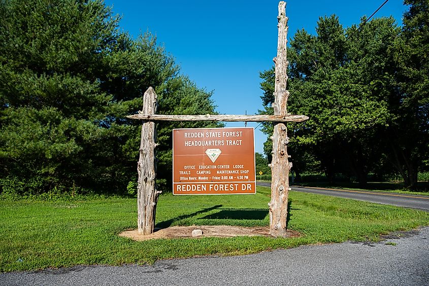 Redden State Forrest, Delaware
