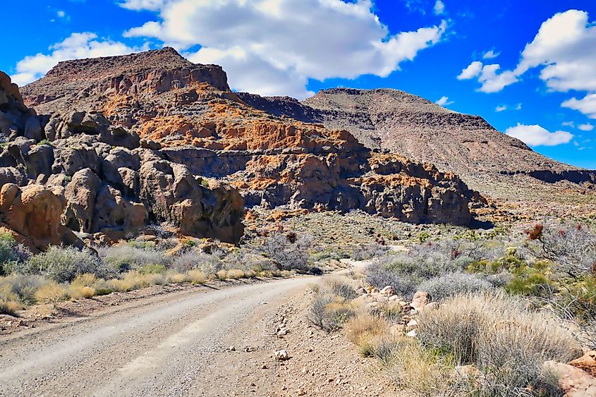 Dirt road through the eroded volcanic rock landscape in the Providence Mountains, close to Hole-in-the-Wall, Mojave National Preserve, California, USA.