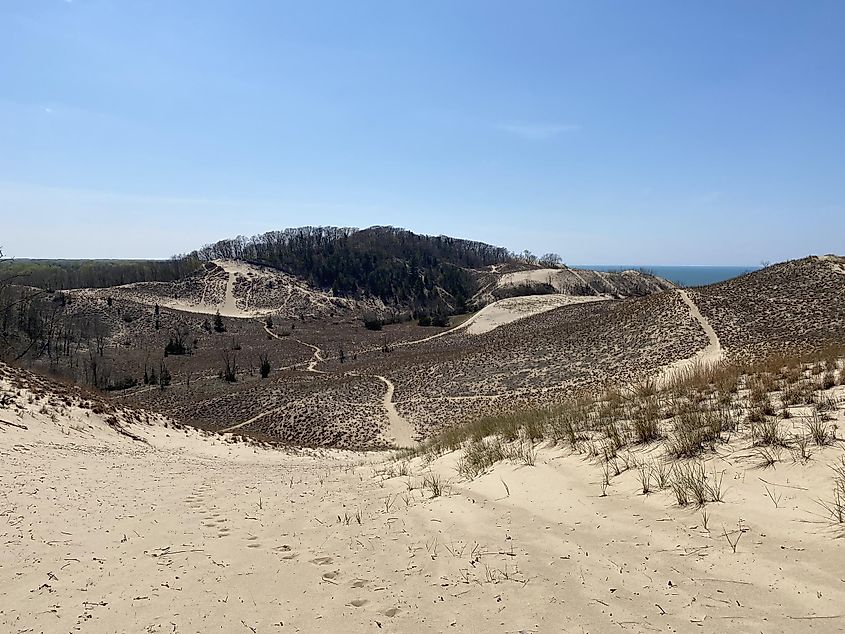 Sandy trails weave through a series of tree and wild grass-lined dunes. A sliver of Lake Michigan can be seen in the background