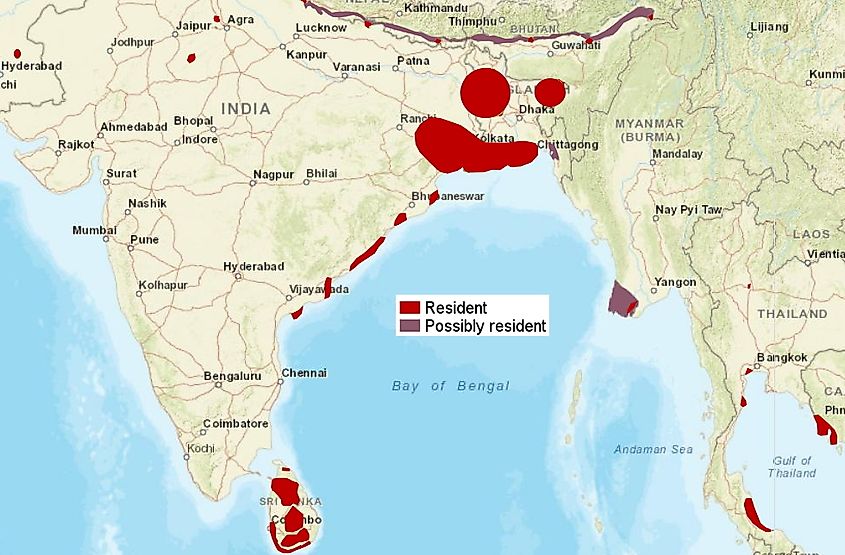 Fishing cat range map