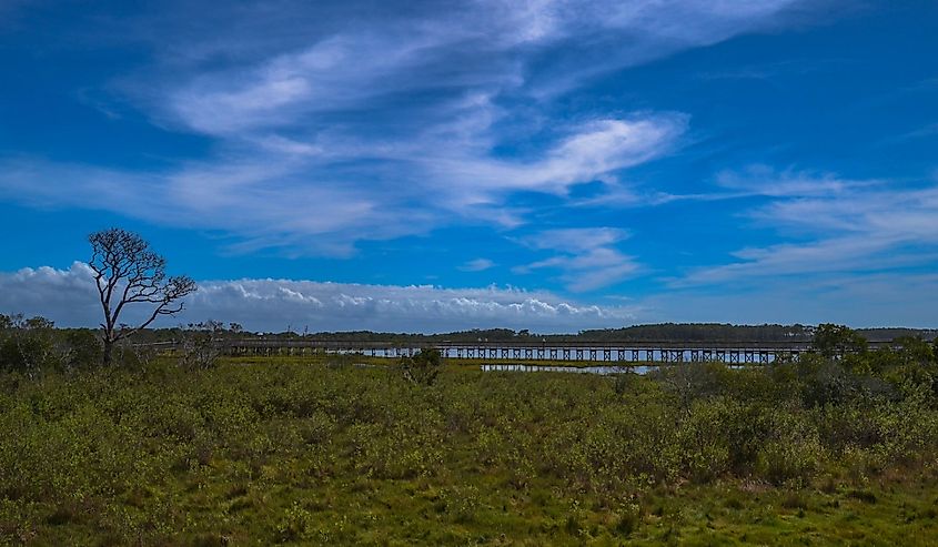 The Life of the Marsh Trail, Assateague Island National Seashore, Berlin, Maryland