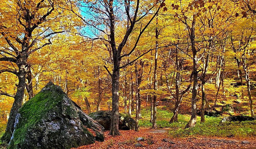 Beautiful fall colors of Smuggler's Notch, Vermont.