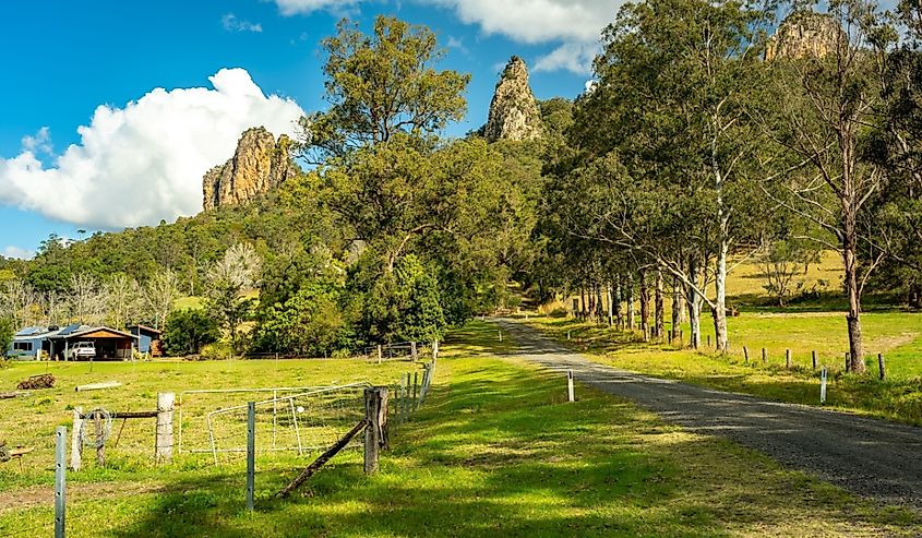 The road to Nimbin Rocks, NSW, Australia