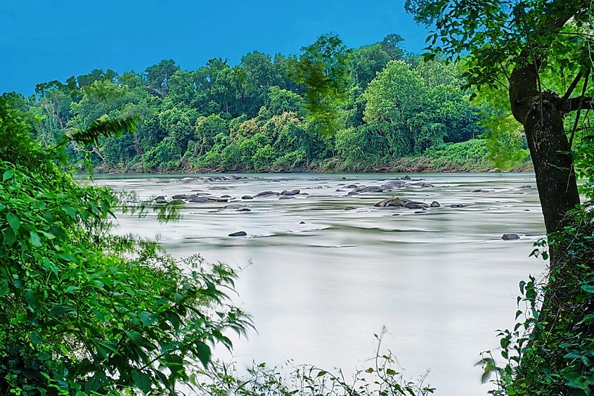 The Congaree River flowing through forested landscape.