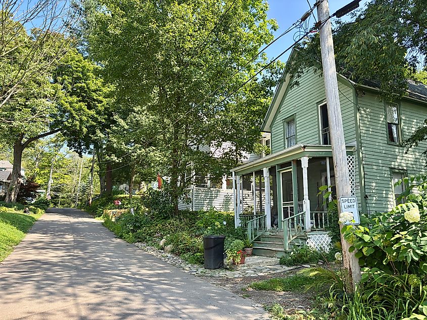 Quiet residential lane lined with trees and small houses, including a pale green house with a porch, in Lily Dale, New York.