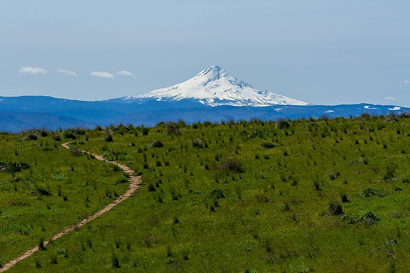 Columbia Hills Historical State Park in Washington with a view of Mount Hood.