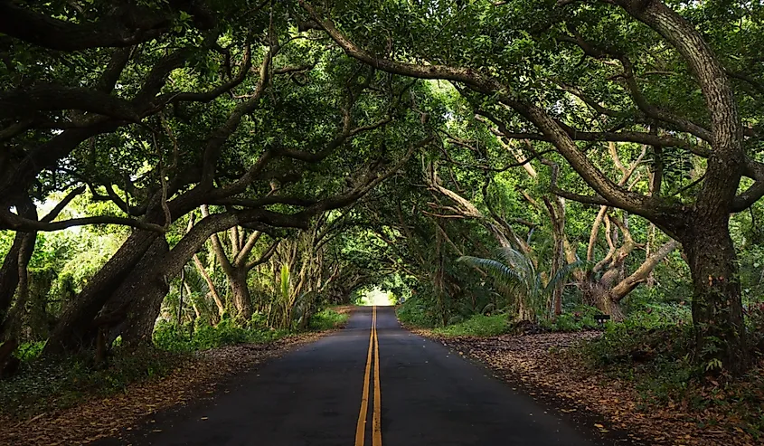 Road to Hana, Hawaii