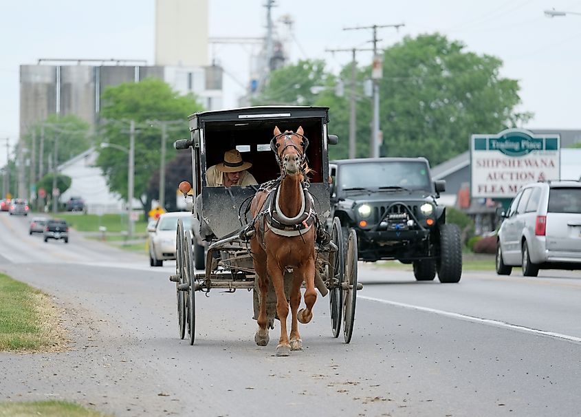 Amish horse and buggy in Shipshewana, Indiana.