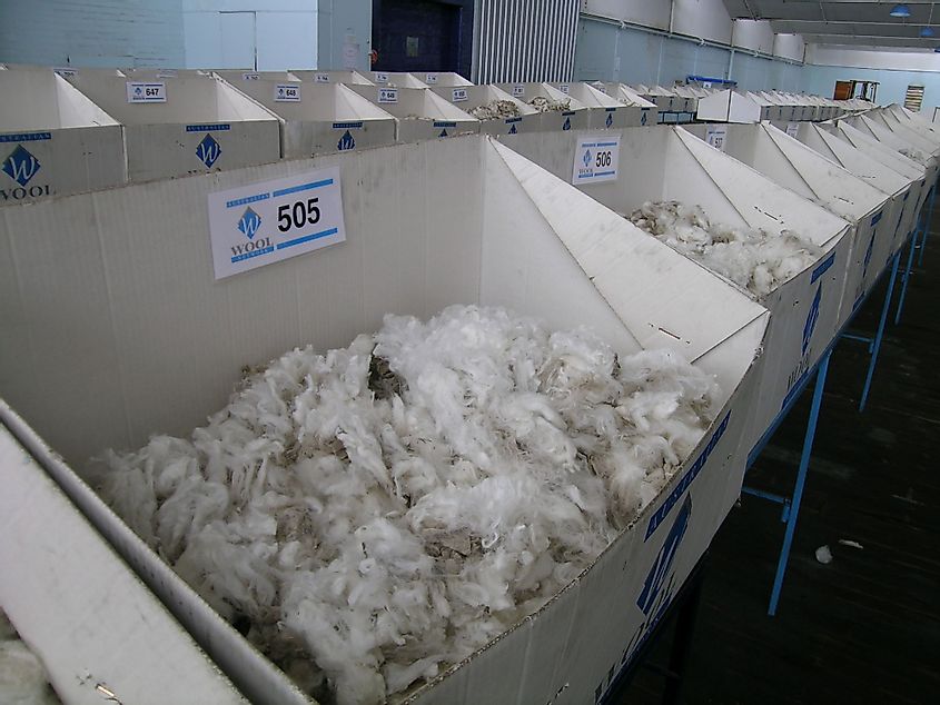 Merino wool samples for sale by auction in Newcastle, New South Wales, Australia