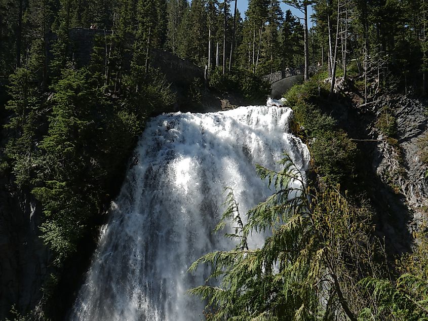 Waterfall in Mount Rainier National Park.
