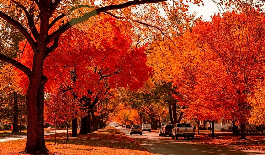 View looking down a historic street in Ottawa, IL, during a autumn afternoon.