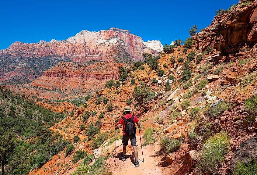 Watchman Trail in Zion National Park.