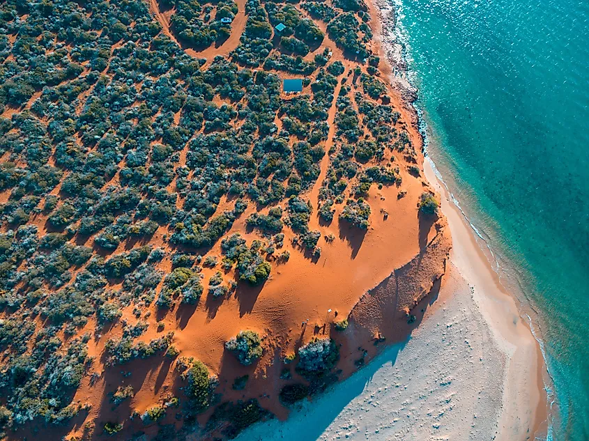 Shark Bay, Australia - WorldAtlas