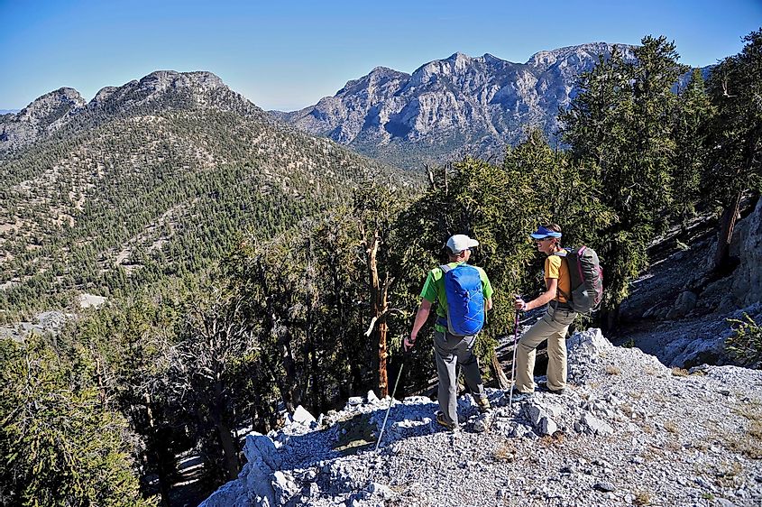 Couple hiking in the Mount Charleston Wilderness trail, Nevada, USA.