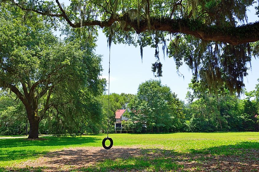Tire swings and Spanish moss dangling from oak trees, via Scott Woodham Photography / Shutterstock.com