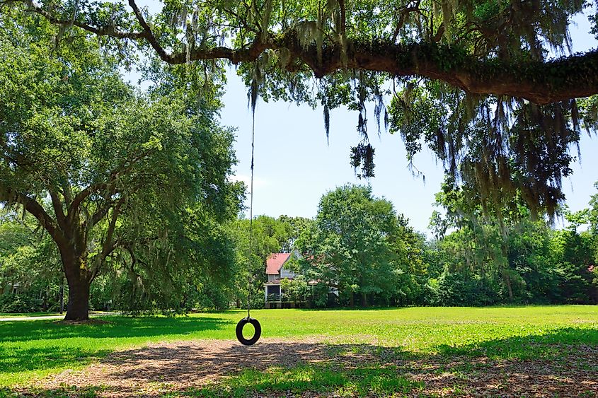 Tire swings and Spanish moss dangling from oak trees are part of the southern charm found in small, rural American towns like McClellanville, South Carolina.