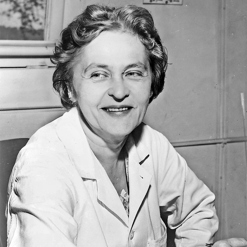 Mária Telkes smiling, half-length portrait