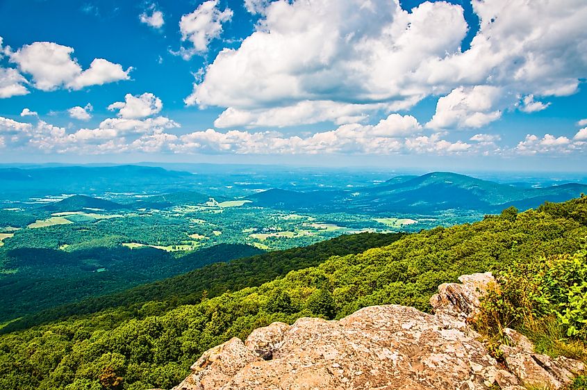 Shenandoah National Park, Virginia.