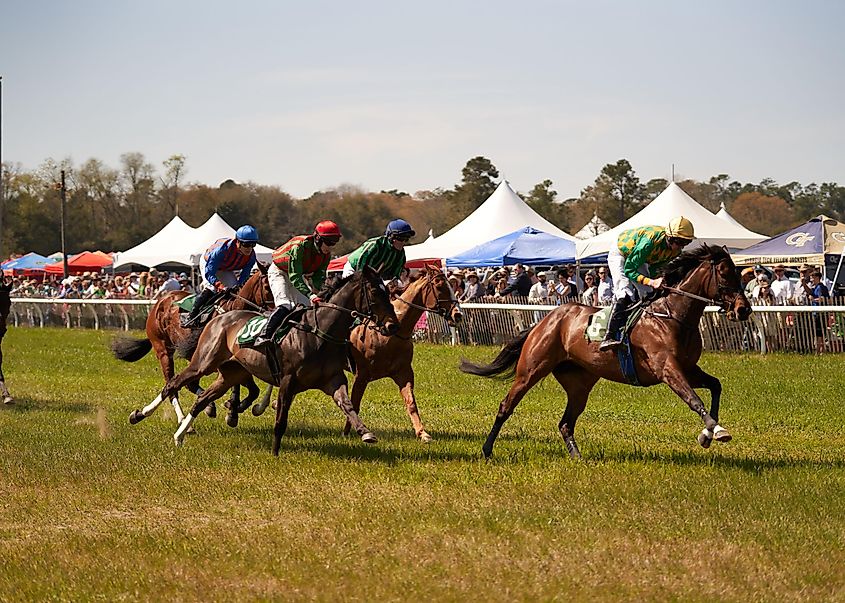 Aiken Spring Steeplechase -  Hedley Lamarr / Shutterstock.com