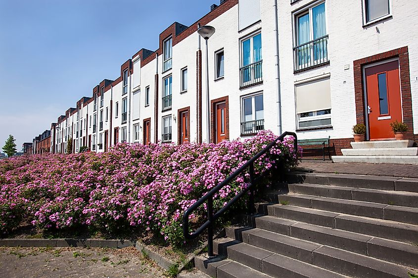 Steps to white modern houses in a row in Lansingerland in the Netherlands. 