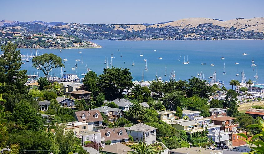 Aerial view of the bay and marina from the hills of Sausalito, San Francisco Bay area, California
