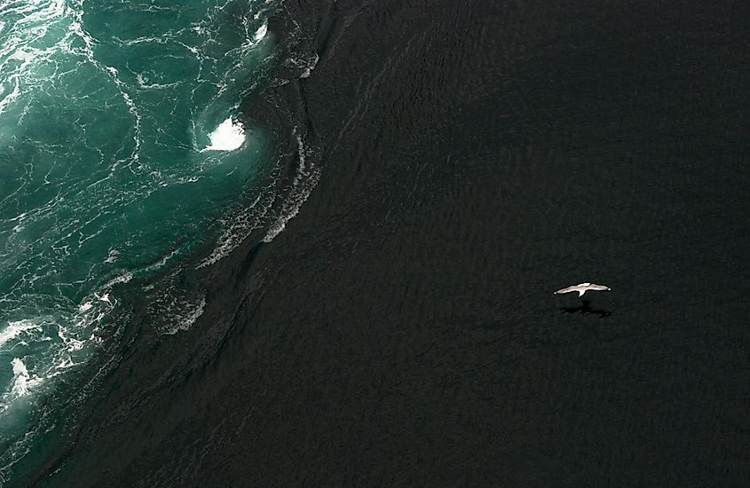 Saltstraumen ocean current in Norway close up