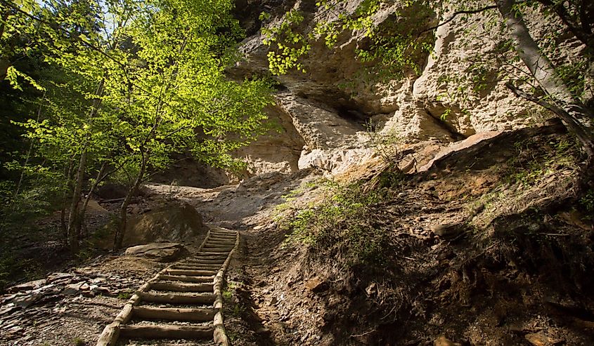 Approaching Alum Cave Bluff - Great Smoky Mountains National Park