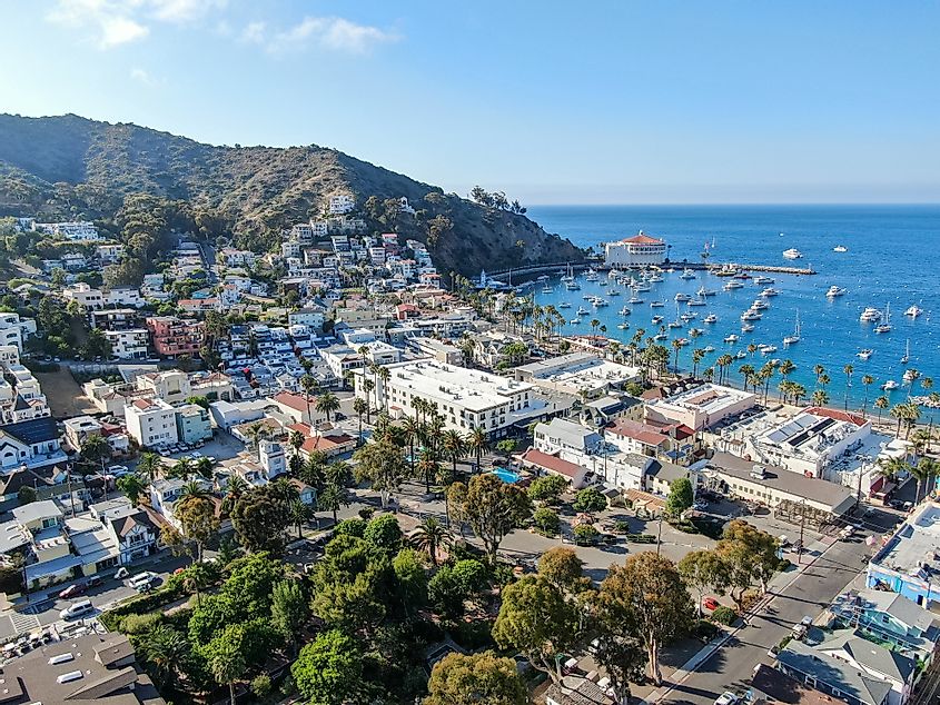 Aerial view of Avalon downtown and bay with boats in Santa Catalina Island