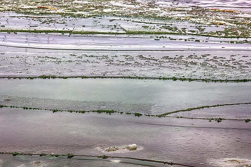 newly formed ice, frozen sea coast in winter (dark nilas).