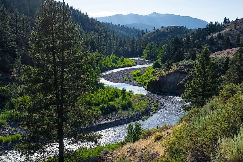 The winding Walker River near Markleeville, California.