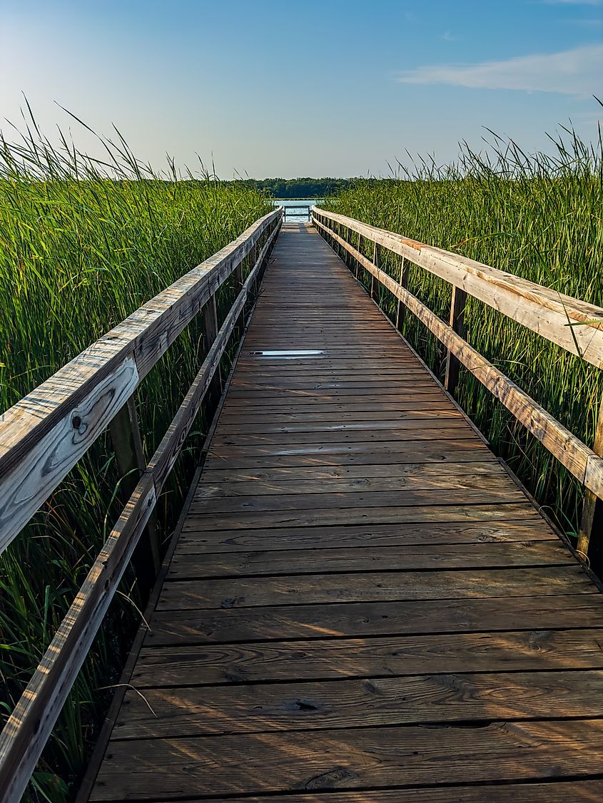 Long Dock at Rice Lake State Park