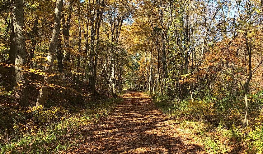 Stillwater Scenic Trail, Smithfield RI.