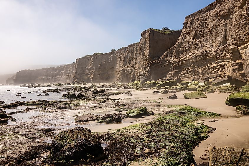 Cliffs Tower Over Low Tide On Santa Rose In The Channel Islands National Park.