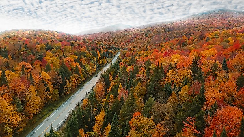 Epic Aerial Panorama of New England Road in Autumn. 