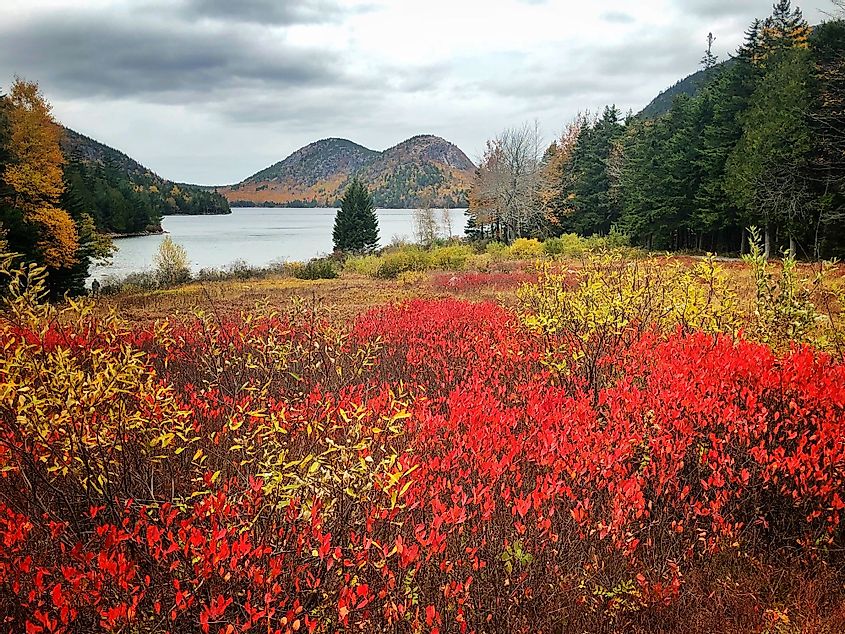 A view of the Jordan Pond during fall at Acadia National Park in Maine