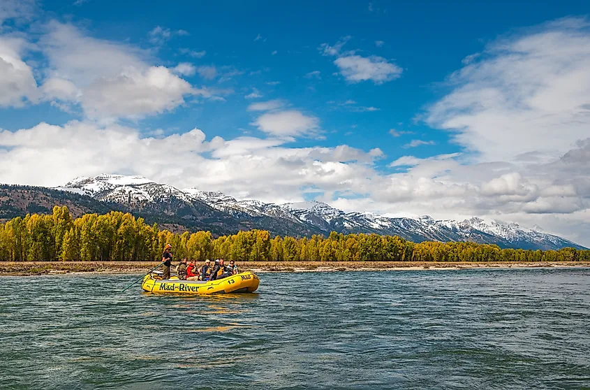 People enjoying canoeing in the Snake River in Wyoming